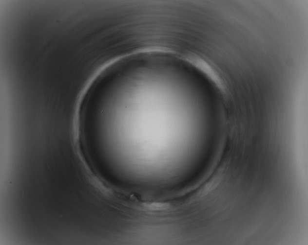 X0000093151140200710031423