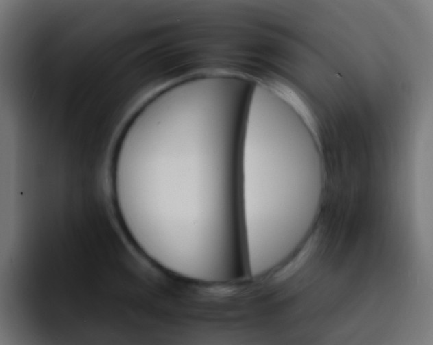 X0000093151141200710031423