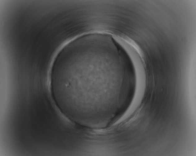 X0000093151144200710031423