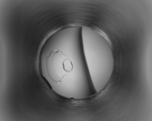 X0000093151146200710031423