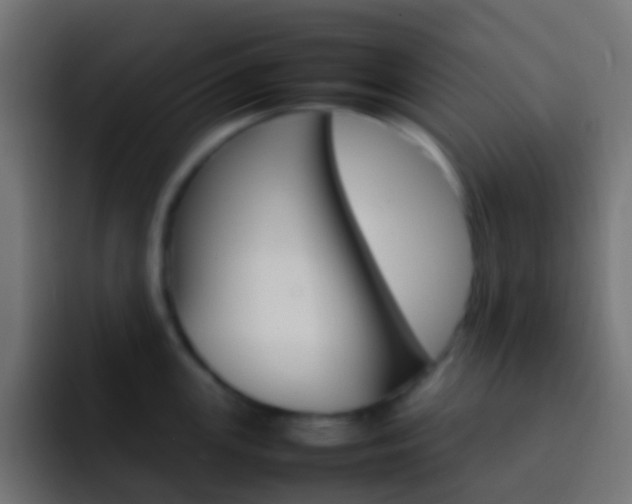 X0000093151147200710031423