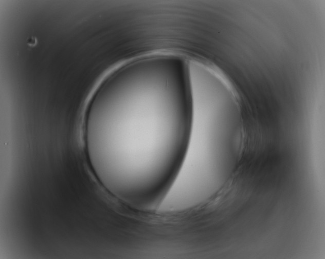 X0000093151148200710031423