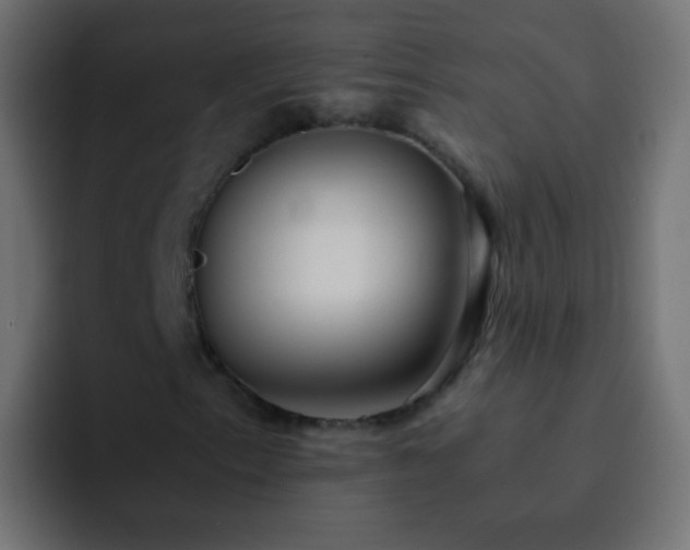 X0000093151153200710031423