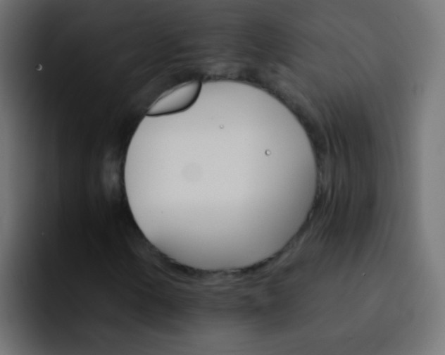 X0000093151154200710031423