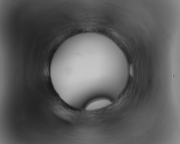 X0000093151155200710031423