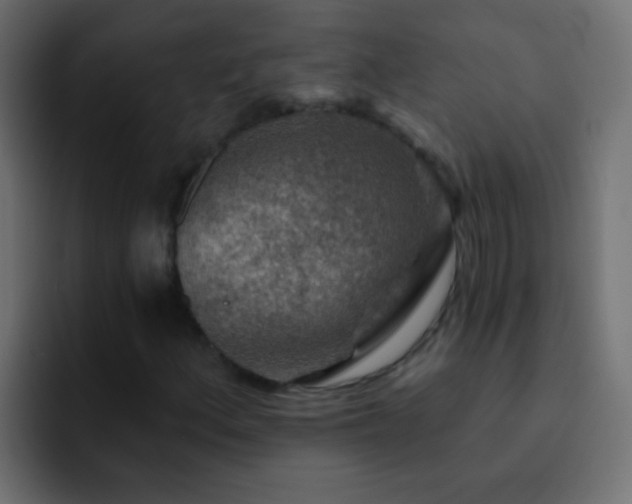 X0000093151156200710031423