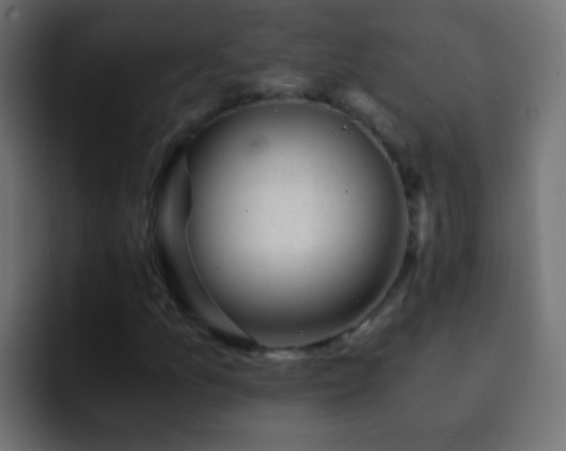 X0000093151157200710031423