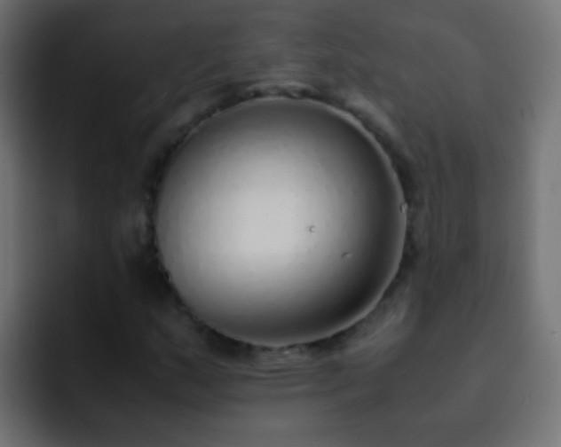 X0000093151159200710031422