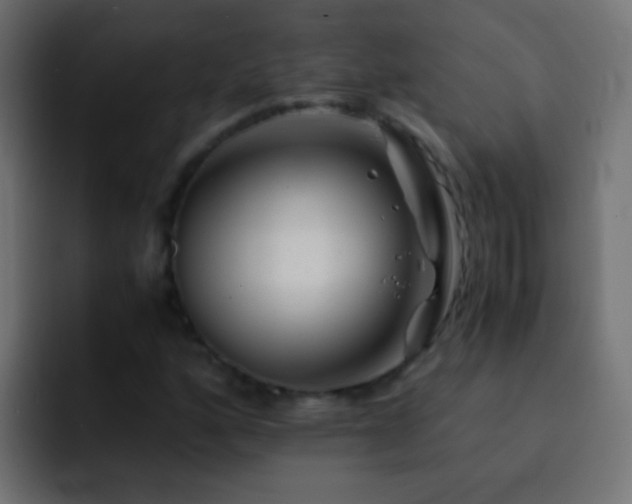 X0000093151160200710031422