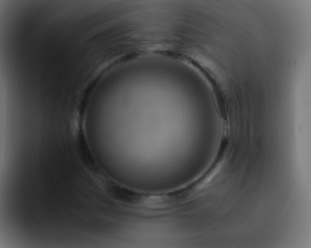 X0000093151161200710031422