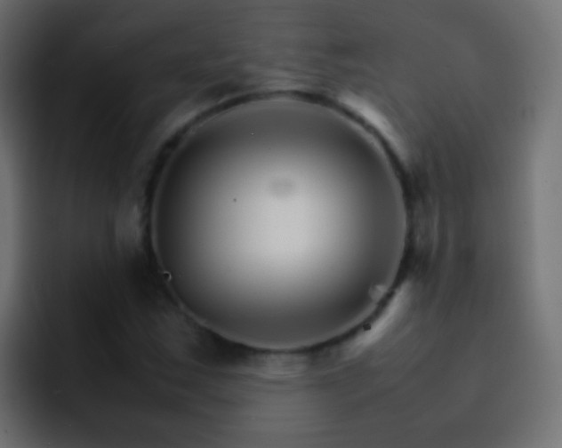 X0000093151163200710031422