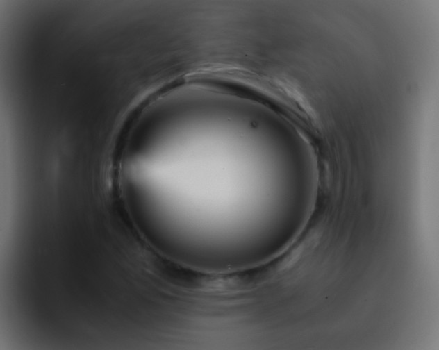 X0000093151165200710031422