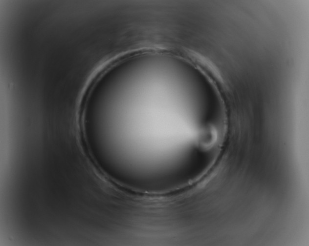 X0000093151168200710031422