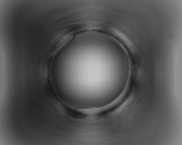 X0000093151169200710031422
