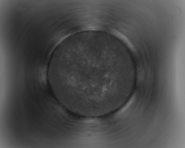 X0000093151170200710031422