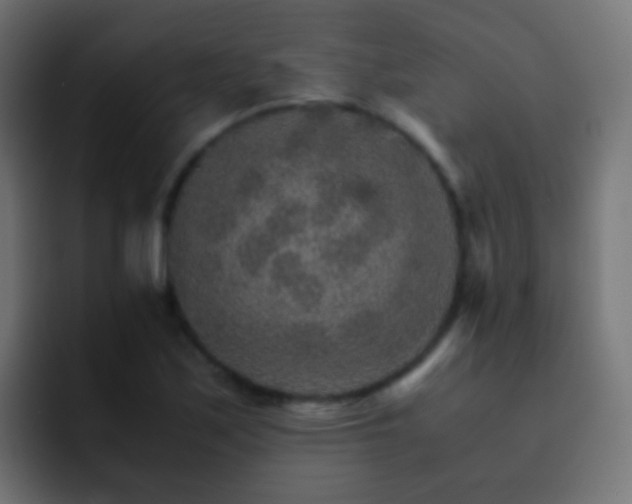 X0000093151171200710031422