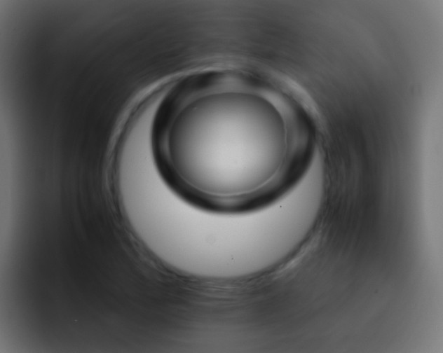 X0000093151172200710031422