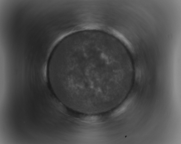 X0000093151174200710031422