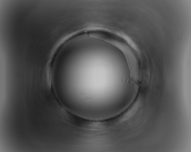 X0000093151175200710031422