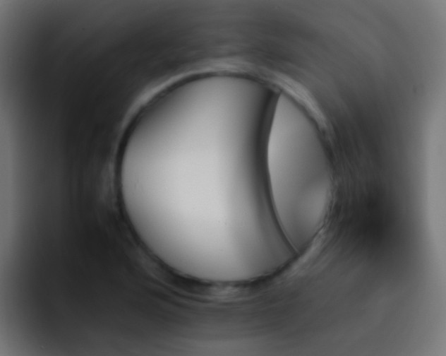 X0000093151176200710031422