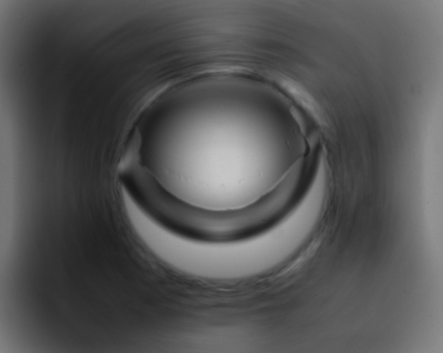X0000093151177200710031422