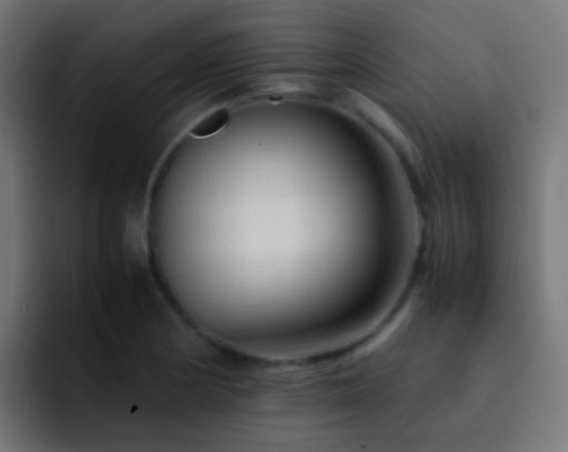 X0000093151178200710031422
