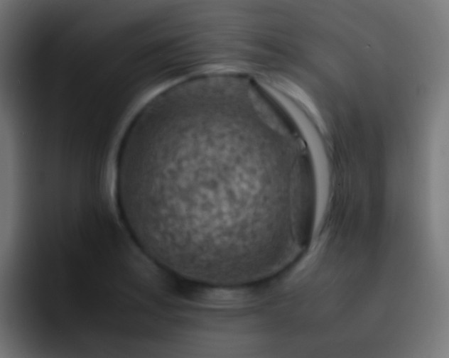 X0000093151179200710031422