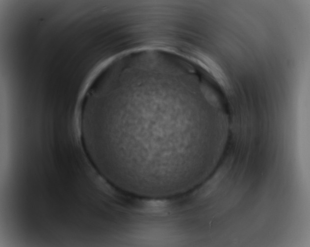 X0000093151180200710031422