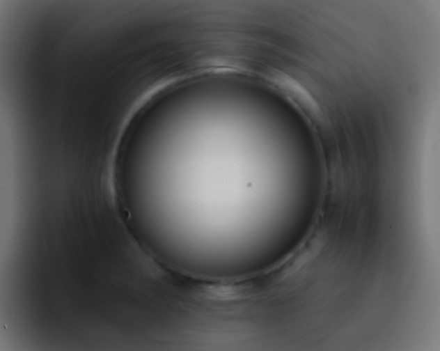 X0000093151182200710031422