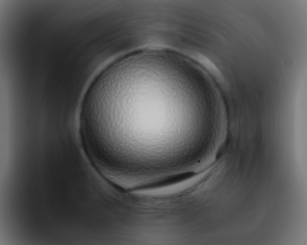 X0000093151183200710031422