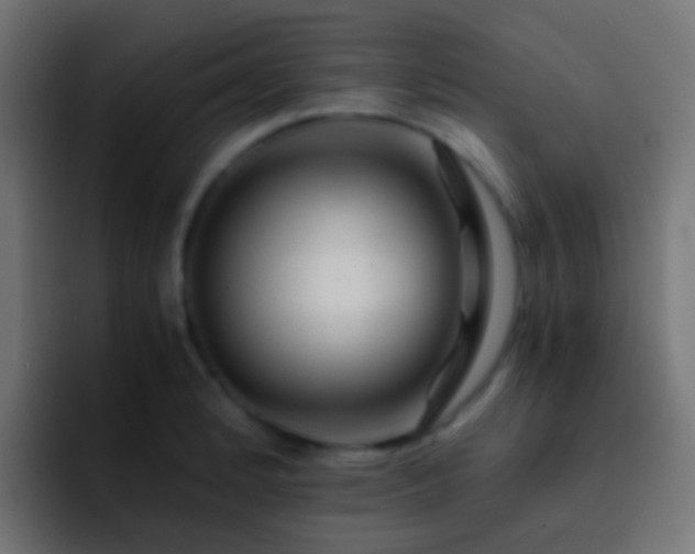 X0000093151184200710031422