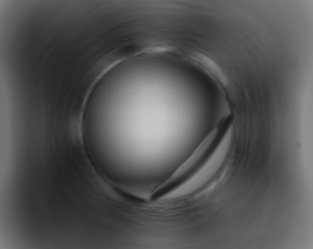 X0000093151186200710031422