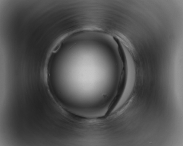 X0000093151188200710031422
