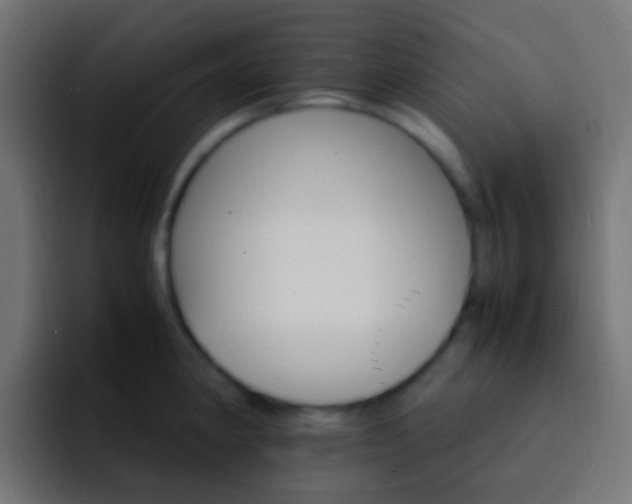 X0000093151190200710031422