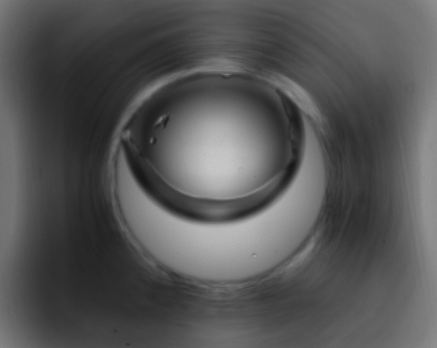 X0000093151192200710031422