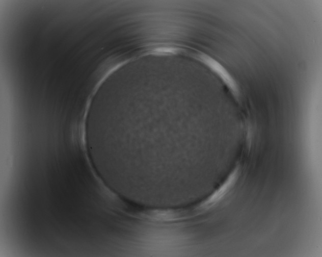 X0000093151194200710031422