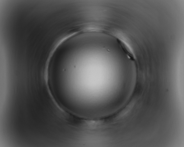 X0000093151195200710031422