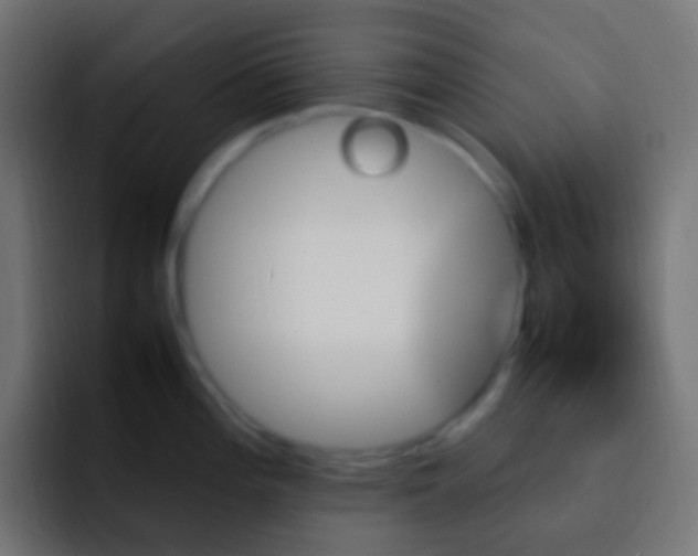 X0000093151196200710031422