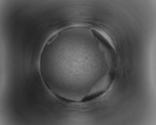 X0000093151197200710031422