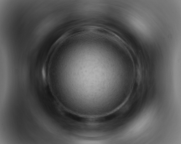 X0000093151198200710031422