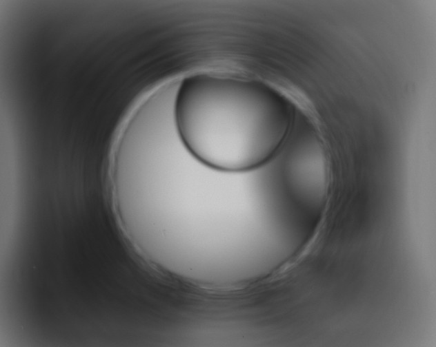 X0000093151200200710031422