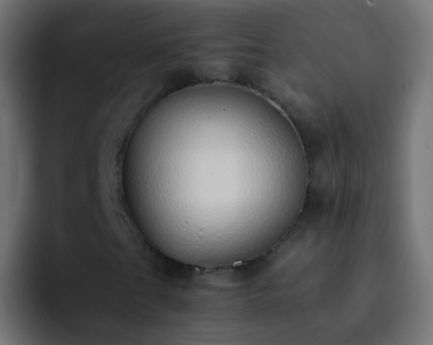 X0000093151201200710031421