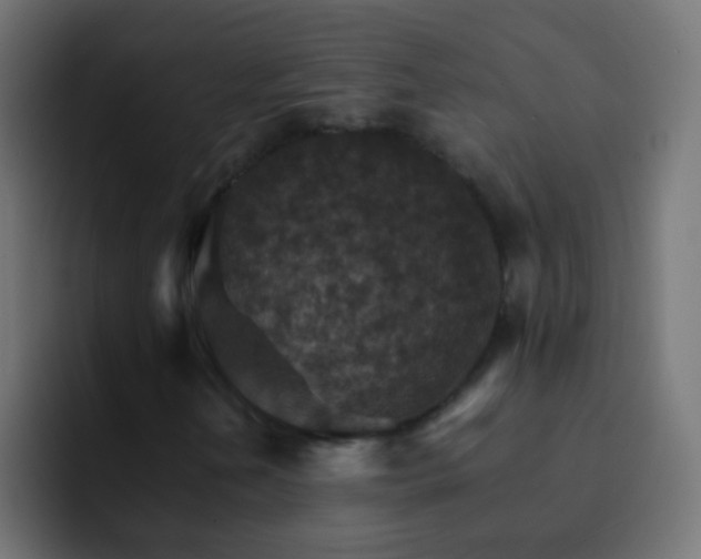 X0000093151202200710031421