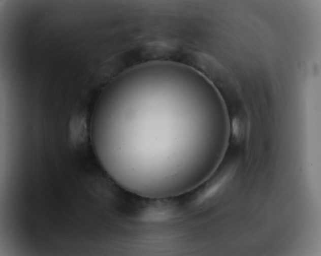 X0000093151203200710031421
