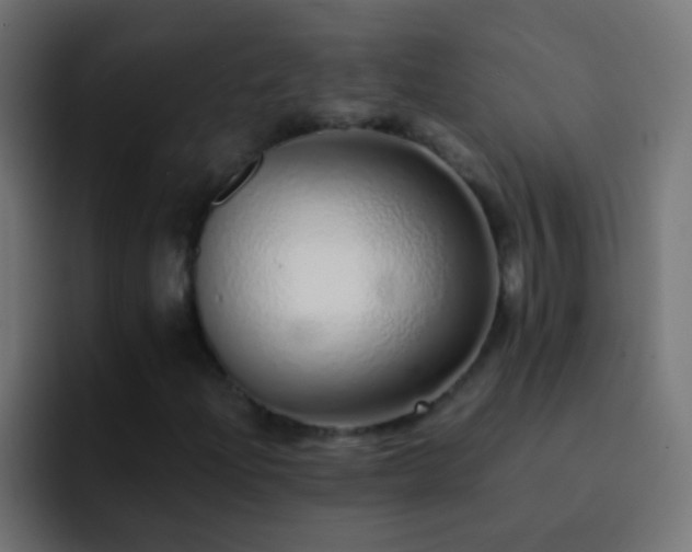 X0000093151204200710031421