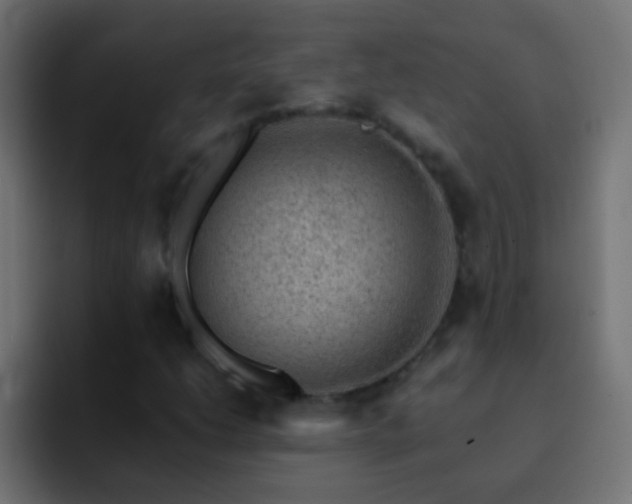 X0000093151206200710031422