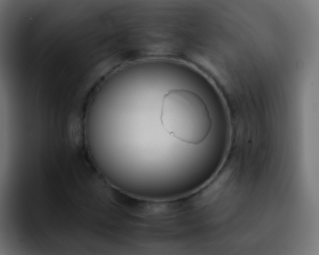 X0000093151211200710031422