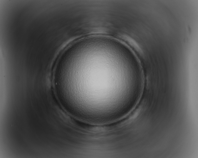 X0000093151212200710031422