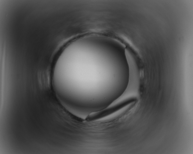 X0000093151214200710031422