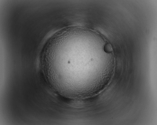 X0000093151215200710031422